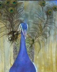 peacock feathers collage